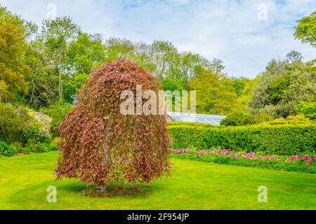 Giardino botanico di Talbot a Malahide, Irlanda Foto Stock