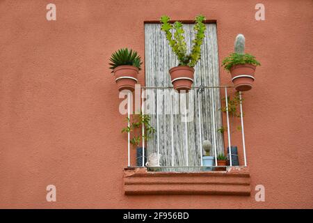 Casa coloniale Terracotta stucco muro con una finestra e artigianale ferro balcone ringhiera con vasi di argilla fioriti a Santiago de Querétaro, Messico. Foto Stock