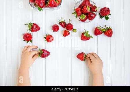 Fragola per la mano di un bambino su uno sfondo bianco Foto Stock