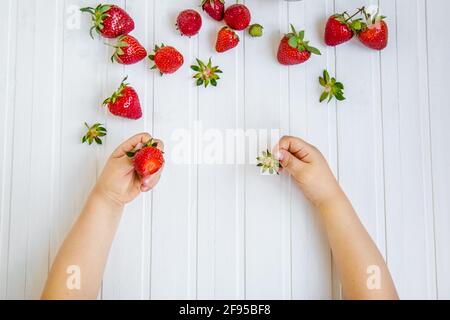 Fragola per la mano di un bambino su uno sfondo bianco Foto Stock