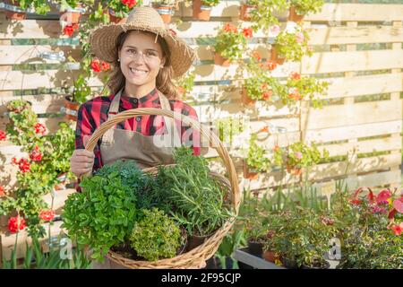 giovane orticoltore femminile guarda un cesto di piante aromatiche come timo e origano Foto Stock