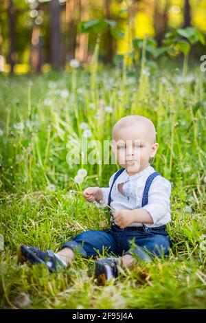 Il fratello minore e la sorella si siedono su un glade con mordelioni bianchi soffici, Spring Foto Stock