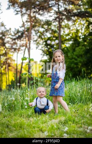 Il fratello minore e la sorella si siedono su un glade con mordelioni bianchi soffici, Spring Foto Stock