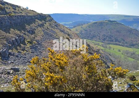 Dinas Bran Castello in primavera visto dal Panorama, Llangollen, Galles Foto Stock