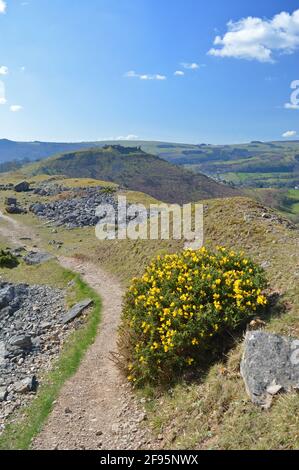 Dinas Bran Castello in primavera visto dal Panorama, Llangollen, Galles Foto Stock