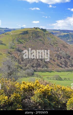 Dinas Bran Castello in primavera visto dal Panorama, Llangollen, Galles Foto Stock