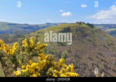 Dinas Bran Castello in primavera visto dal Panorama, Llangollen, Galles Foto Stock