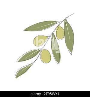 Ramificazione di olive con foglie e olive. Stile piatto. Illustrazione Vettoriale