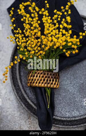 Primavera mimosa fiori e tavolo impostazione Foto Stock