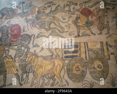 Bue-cart e leone, dettaglio a mosaico dell'ambulatorio della Grande Caccia, Villa Romana del Casale Foto Stock