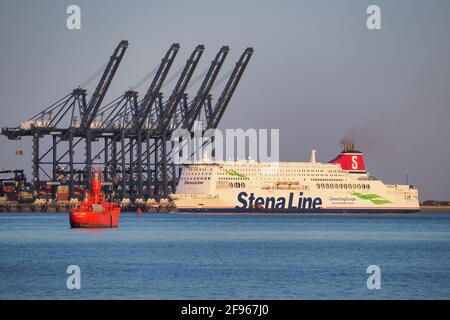 Porto di Felixstowe, traghetto Stena Hollandica passando le gru portuali e la nave leggera rossa Foto Stock