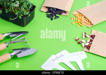 Preparazione e pianificazione primaverile per la semina di ortaggi. Semi vegetariani in buste di carta artigianali. Lavori stagionali in giardino. Studio foto Foto Stock