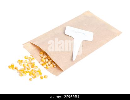 Preparazione e pianificazione primaverile per la semina di ortaggi. Semi vegetariani in buste di carta artigianali. Lavori stagionali in giardino. Studio foto Foto Stock