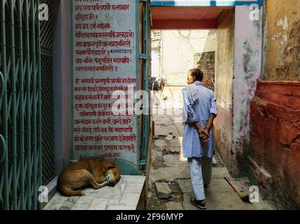 Varanasi, India - 01 novembre 2016: Lato posteriore di un uomo in indù tradizionale a piedi su un vicolo stretto della città con un cane che dorme di fronte e co Foto Stock