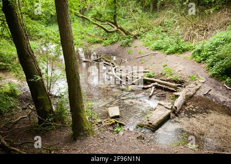 Fonte del Stever, Stevertal Foto Stock