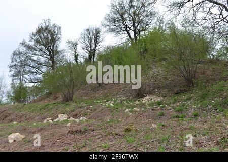 ROVINE DELLA CITTÀ VECCHIA MEDIEVALE DI STENICNJAK IN CROAZIA Foto Stock