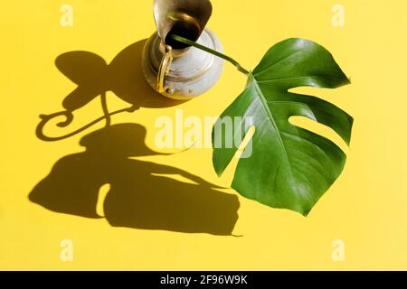Foglia di Monstera in brocca di ottone con luce solare e ombre dure su sfondo di carta giallo. Concetto estivo con foglia di palma. Spazio di copia. Disposizione piatta. Foto Stock