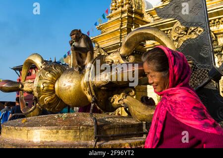Il tempio delle scimmie Swayambhunath stupa Foto Stock