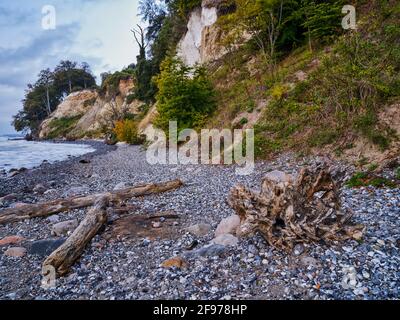 Surf sulla costa di gesso Foto Stock