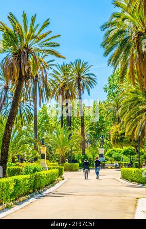 Vista delle palme nel parco villa bonanno a Palermo, Sicilia, Italia Foto Stock