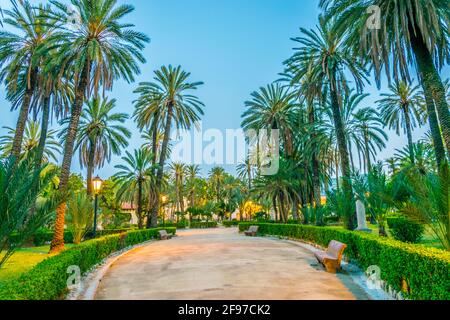 Vista delle palme nel parco villa bonanno a Palermo, Sicilia, Italia Foto Stock