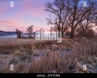 Mattina invernale allo Schmutter Foto Stock