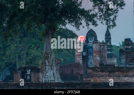 Thailandia, Sukothai, Wat Mahathat tempio Foto Stock