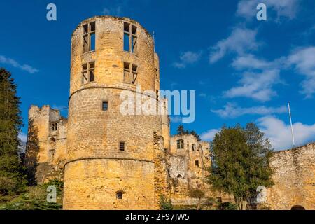 Rovine del castello di Beaufort a Befort, Echternach, Grevenmacher, Granducato del Lussemburgo Foto Stock
