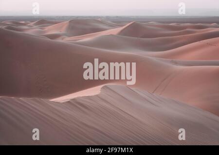 Deserto del Sahara, Marocco - Zagora Provincia, Draa-Tafilalet Foto Stock