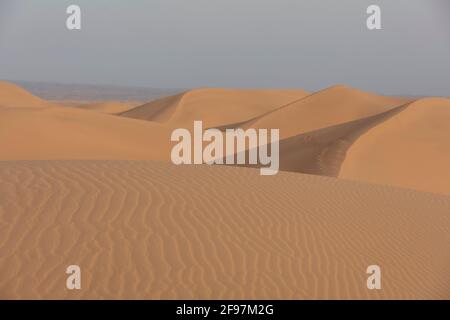 Deserto del Sahara, Marocco - Zagora Provincia, Draa-Tafilalet Foto Stock