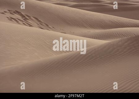 Deserto del Sahara, Marocco - Zagora Provincia, Draa-Tafilalet Foto Stock