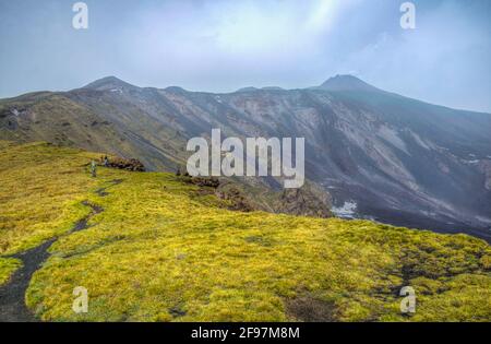 Valle del bove dell'etna in Sicilia Foto Stock