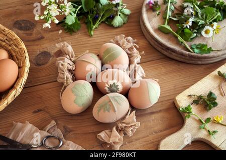 Uova di Pasqua con foglie fresche attaccate a loro - preparazione per tintura con bucce di cipolla Foto Stock