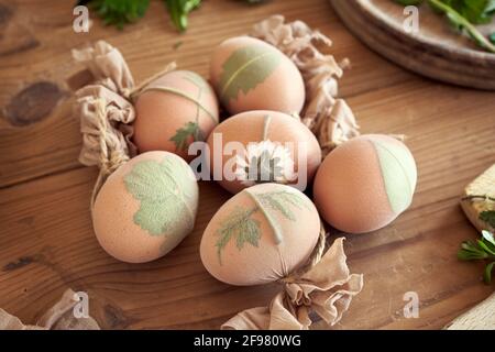 Preparazione delle uova di Pasqua per la tintura con bucce di cipolla con un modello di erbe fresche Foto Stock