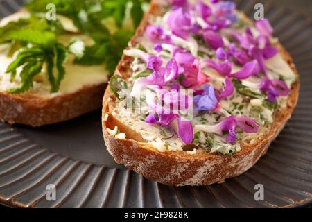 Una fetta di pane di pasta con burro e fiori porpora di ortica morta e di lungwort, con foglie di sambuco macinate sullo sfondo Foto Stock