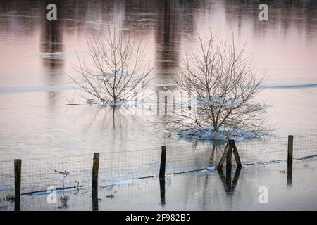 Wesel, Nord Reno-Westfalia, Germania - Sunny paesaggio invernale nella zona della Ruhr, ghiaccio e neve sul lippe, Lippeauen, alberi racchiusi nel ghiaccio alluvione. Foto Stock