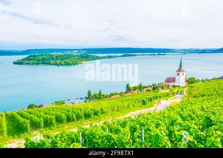 Chiesa di Ligerz in mezzo ai vigneti di Bielersee, Svizzera Foto Stock