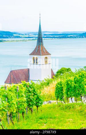 Chiesa di Ligerz in mezzo ai vigneti di Bielersee, Svizzera Foto Stock