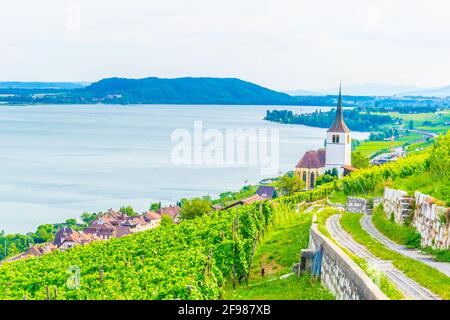 Chiesa di Ligerz in mezzo ai vigneti di Bielersee, Svizzera Foto Stock