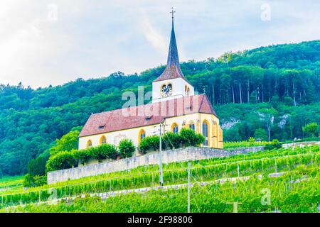 Chiesa di Ligerz in mezzo ai vigneti di Bielersee, Svizzera Foto Stock