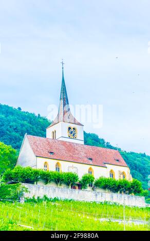 Chiesa di Ligerz in mezzo ai vigneti di Bielersee, Svizzera Foto Stock