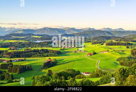 Atmosfera idilliaca al mattino nella Allgäu con prati e boschi. Sullo sfondo le Alpi di Allgäu. Bayern Germania Foto Stock