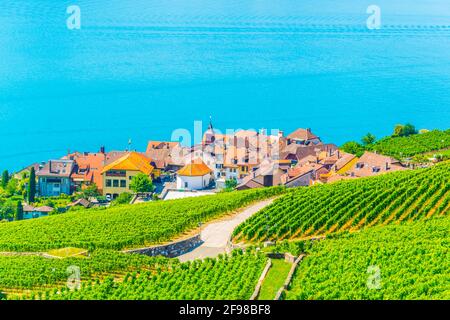 Vista aerea di Rivaz e del lago di Ginevra in Svizzera Foto Stock