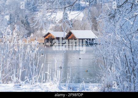 Una magica mattinata invernale alle boathouses di Schlehdorf am Kochelsee, Baviera, con brina, sole, nebbia e neve fresca caduta. Foto Stock