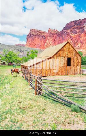 Gifford agriturismo, Capitol Reef National Park nello Utah, USA, America del Nord Foto Stock