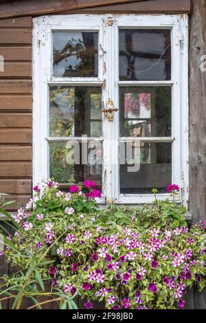 Germania, Renania-Palatinato, Gleiszellen-Gleishorbach, vecchia finestra. Foto Stock