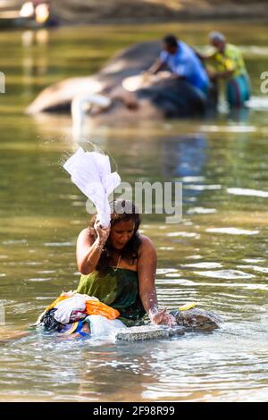 Sri Lanka, Kataragama, tempio Kataragama, il tempio elefante è lavato nel fiume, donna, lavanderia, lavaggio, Foto Stock