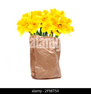 Bouquet di narcisi gialle su sfondo bianco Foto Stock