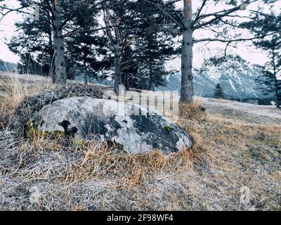 Boulder sui prati umpback, una reliquia dell'era glaciale del Worm Foto Stock