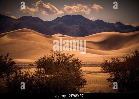 Big Sand Dunes nel deserto del Nevada - viaggio fotografia Foto Stock